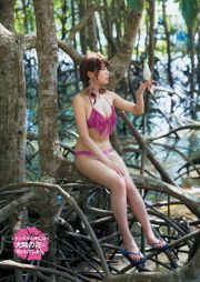 [Młody magazyn] Ikumi Hisamatsu Hanami Natsume 2015 nr 26 Zdjęcie